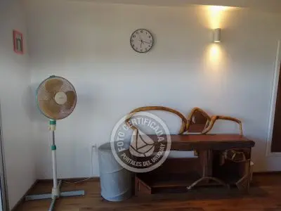 Perro del Mar - Punta del Diablo