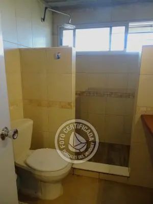 Perro del Mar - Punta del Diablo