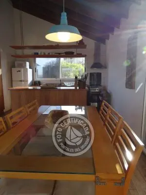 Perro del Mar - Punta del Diablo