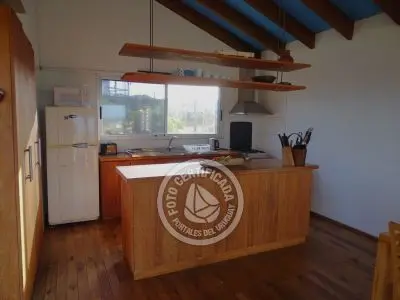 Perro del Mar - Punta del Diablo