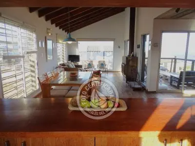 Perro del Mar - Punta del Diablo