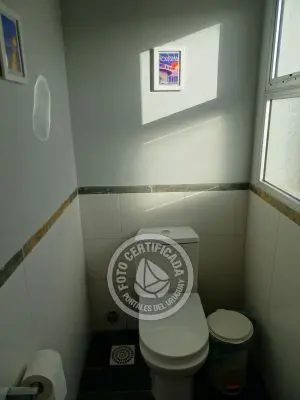 Perro del Mar - Punta del Diablo