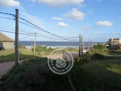 Perro del Mar - Punta del Diablo