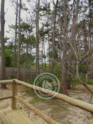 Casa Las Hamacas Punta del Diablo