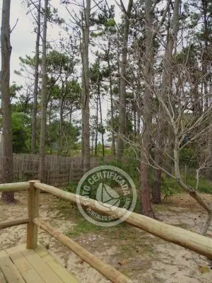 House Las Hamacas Punta del Diablo