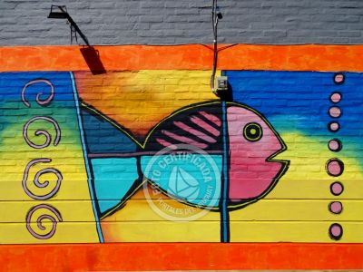 Complejo 7 Teros Punta del Diablo