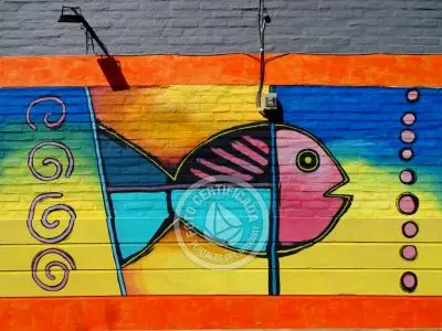 Complejo 7 Teros Punta del Diablo