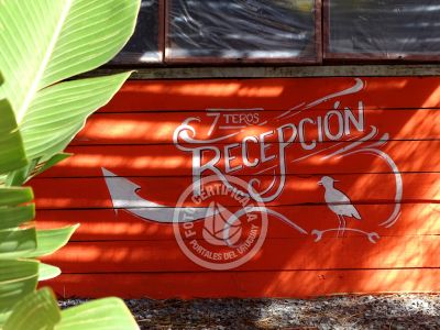 Complejo 7 Teros Punta del Diablo