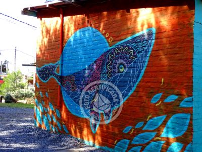 Complejo 7 Teros Punta del Diablo