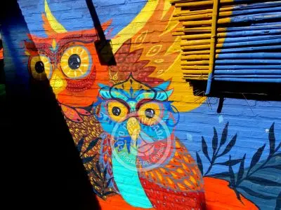 Complejo 7 Teros Punta del Diablo