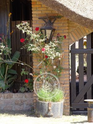 Cabin Los Vagones Punta del Diablo