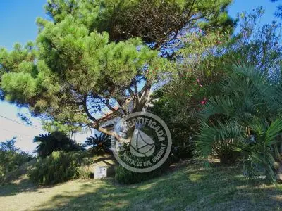 Cabin La Morocha Punta del Diablo