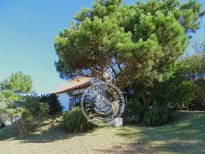 Cabin La Morocha Punta del Diablo