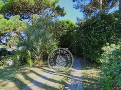 Cabin La Morocha Punta del Diablo
