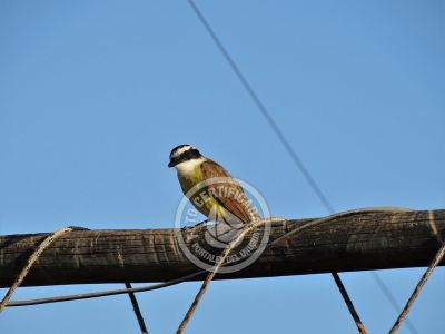 Complejo Dunas del Diablo Punta del Diablo