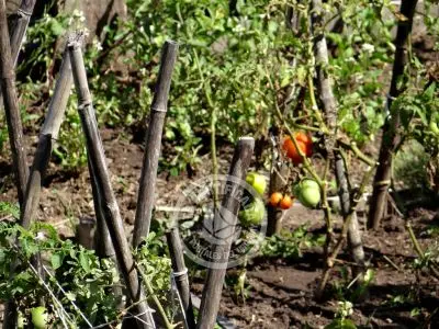 Posada Nativos Punta del Diablo