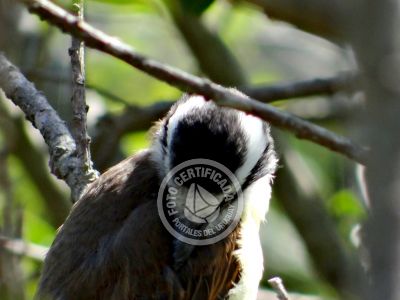 Pousada Nativos Punta del Diablo