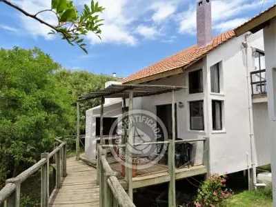 Armonía  - Punta del Diablo