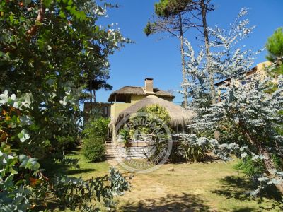 Ernestina - Punta del Diablo