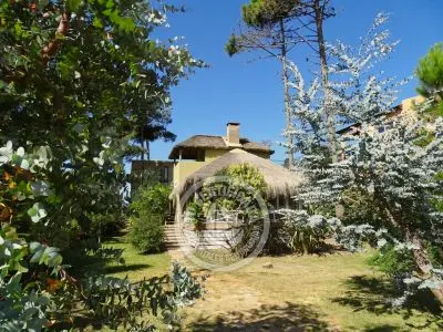 Ernestina - Punta del Diablo