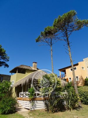Ernestina - Punta del Diablo