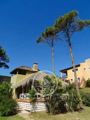 Ernestina - Punta del Diablo