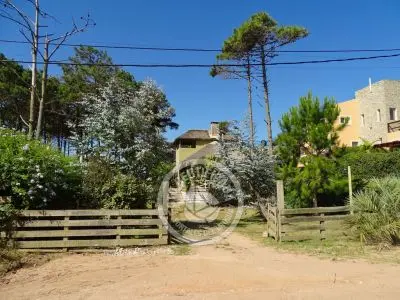 Ernestina - Punta del Diablo