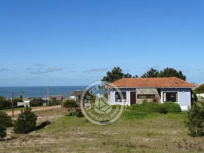 La Gaviota del Rivero