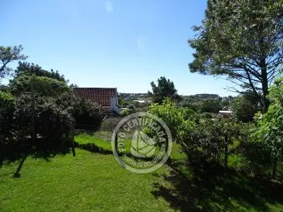 Casa Rubia Diabla Punta del Diablo