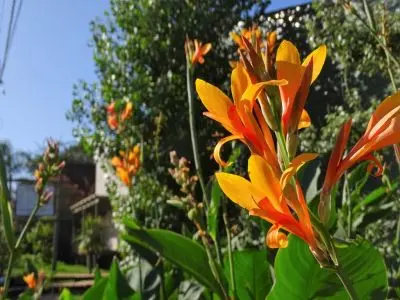 Complexo Los Pájaros Punta del Diablo