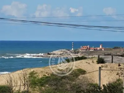 Allegra - Punta del Diablo