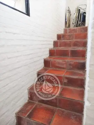 Allegra - Punta del Diablo