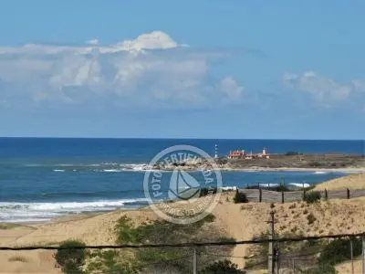 Allegra - Punta del Diablo