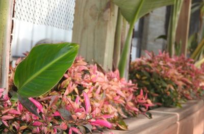 Villa Calas del Diablo Punta del Diablo