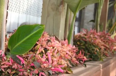 Villa Calas del Diablo Punta del Diablo