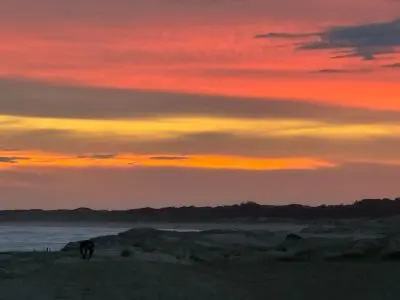 Casa La Viuda Alegre Punta del Diablo