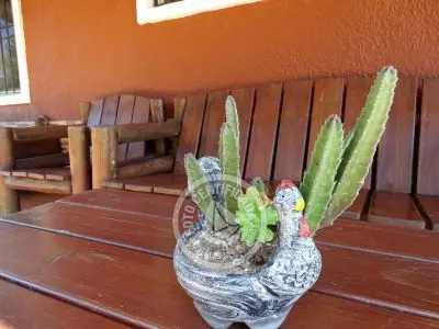 Casa El Indio Punta del Diablo