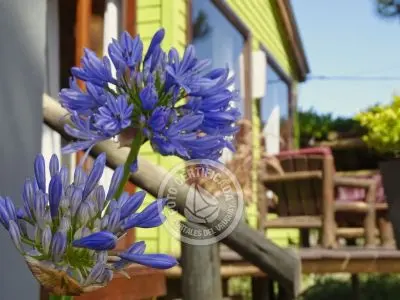 Cabaña Rebacana Punta del Diablo