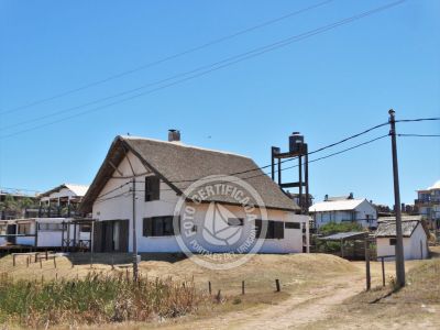 Tanika - Punta del Diablo
