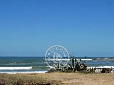 Tanika - Punta del Diablo