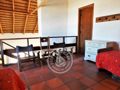 Tanika - Punta del Diablo