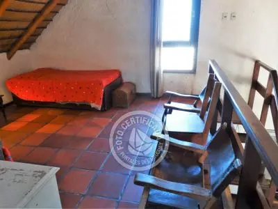 Tanika - Punta del Diablo