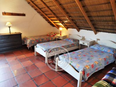 Tanika - Punta del Diablo