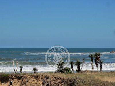 Tanika - Punta del Diablo