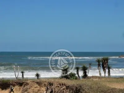 Tanika - Punta del Diablo