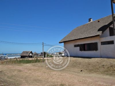 Tanika - Punta del Diablo