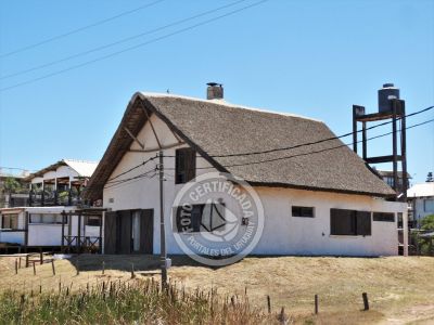 Tanika - Punta del Diablo