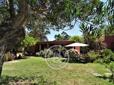 Villa Los Girasoles Punta del Diablo