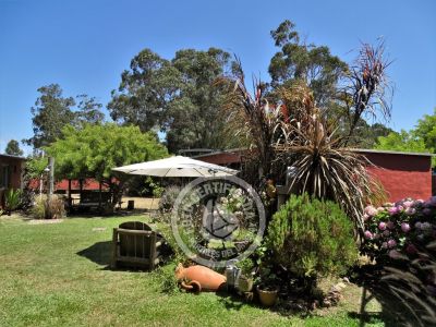 Villa Los Girasoles Punta del Diablo