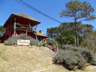 Terrafema - Punta del Diablo